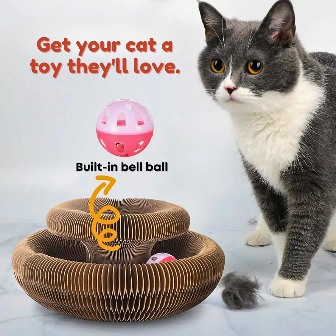 Catch & Curl