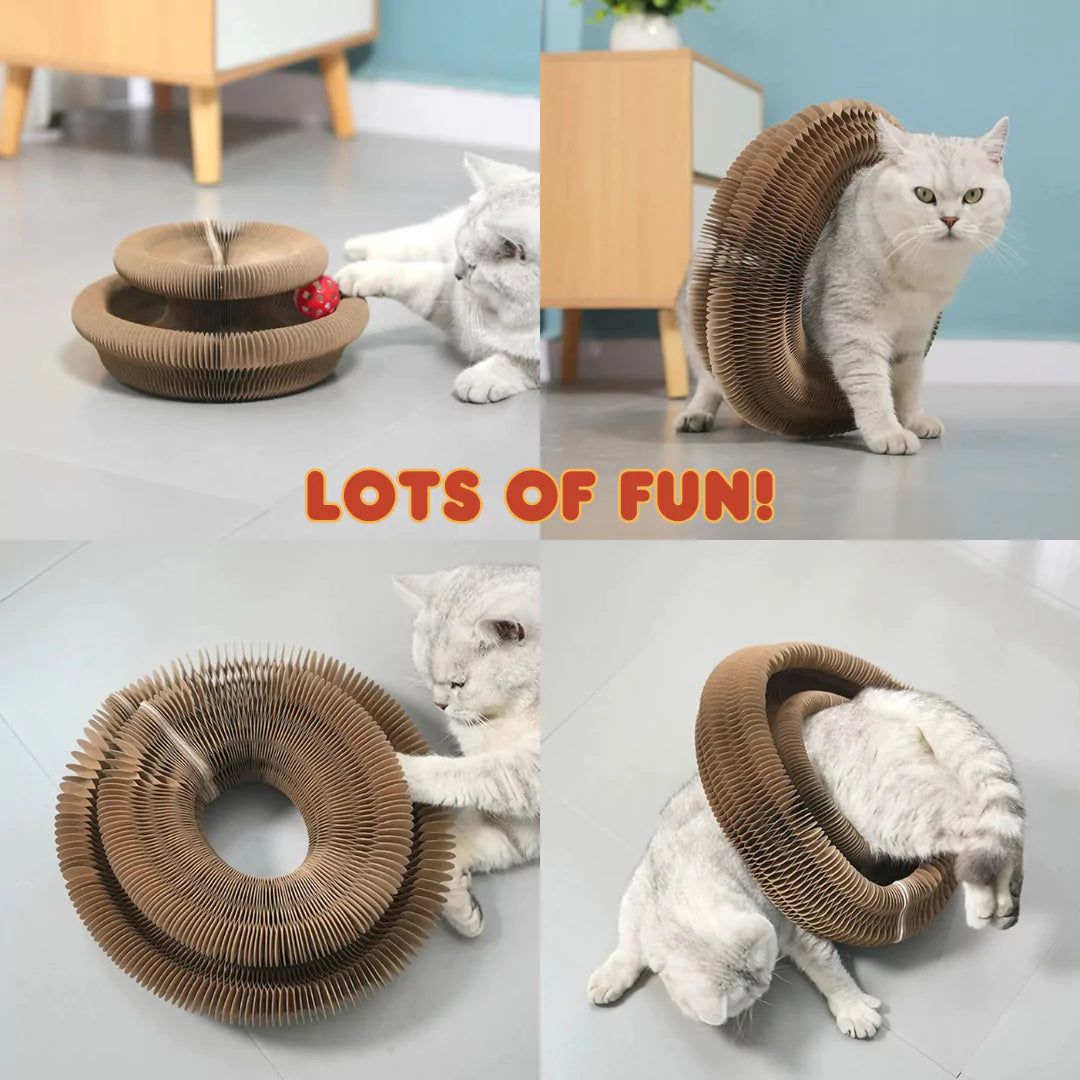 Catch & Curl