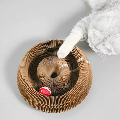 Catch & Curl