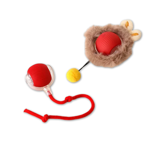 Chase & Pounce Ball