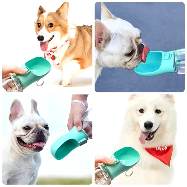 Drink&Snack Bottle – The Ultimate On-the-Go Hydration for Your Dog!