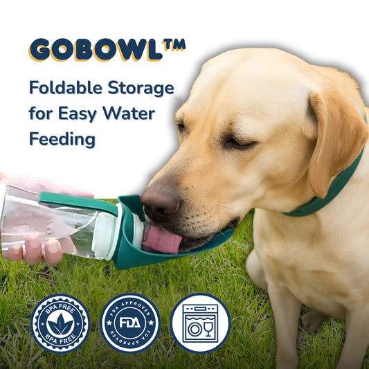 GoBowl™ - Water & Snack Bottle