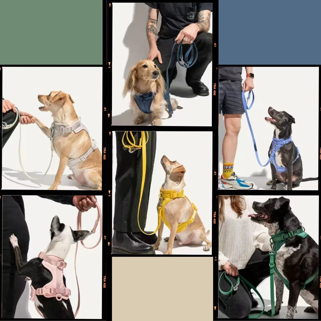 KIT NuzzleFit™ - No-Pull Harness