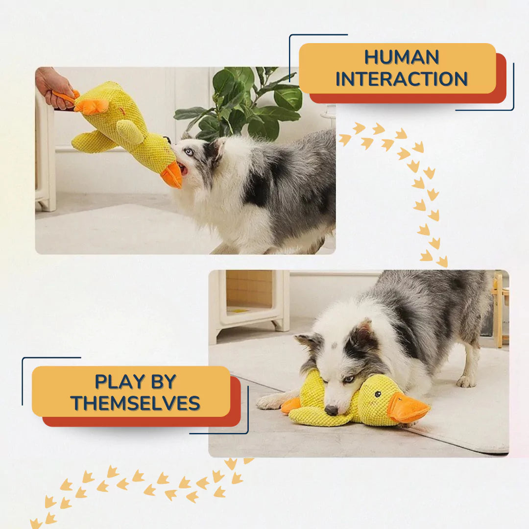 SnuggleQuack - Calming and Comfort Toy