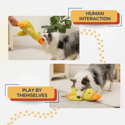 SnuggleQuack - Calming and Comfort Toy