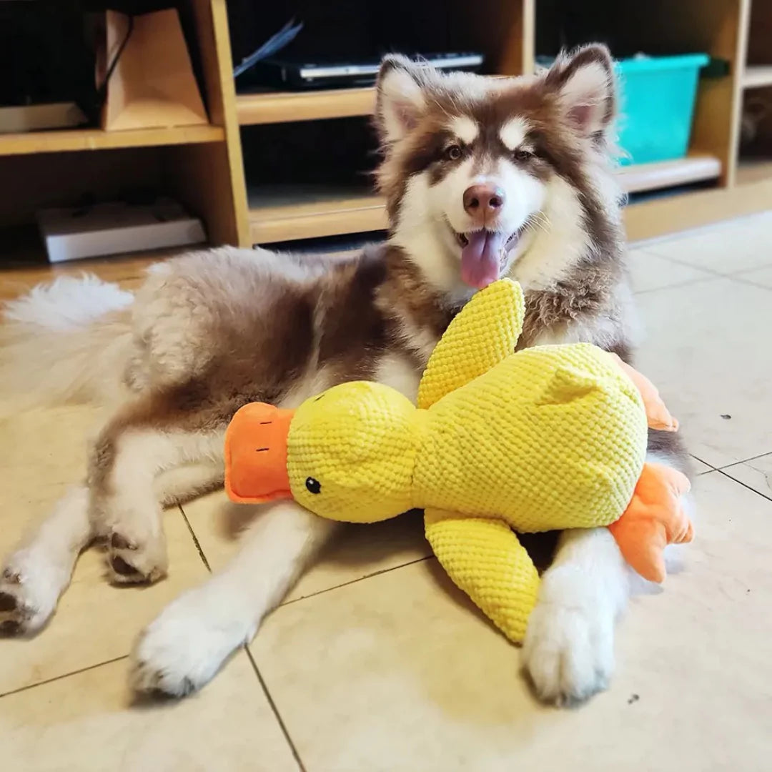 SnuggleQuack - Calming and Comfort Toy