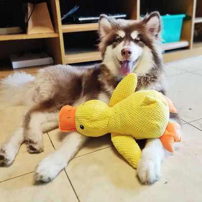 SnuggleQuack - Calming and Comfort Toy
