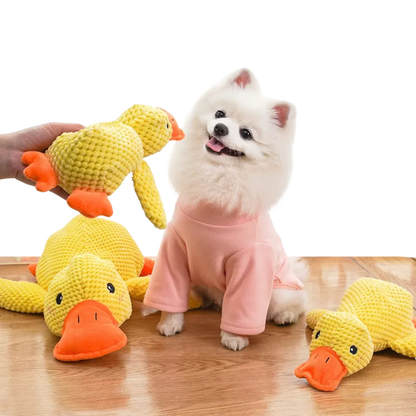 SnuggleQuack - Calming and Comfort Toy