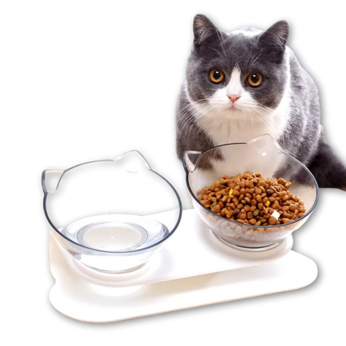 ErgoLift Bowl