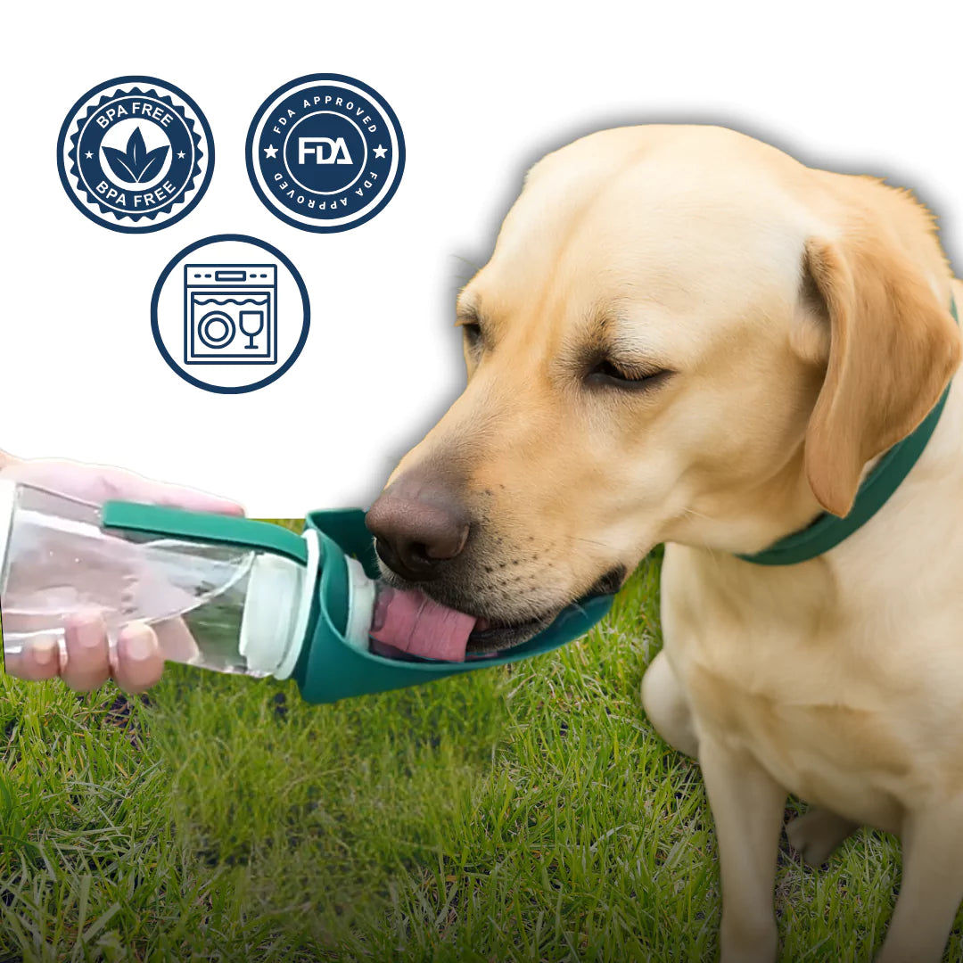 GoBowl - Water & Snack Bottle