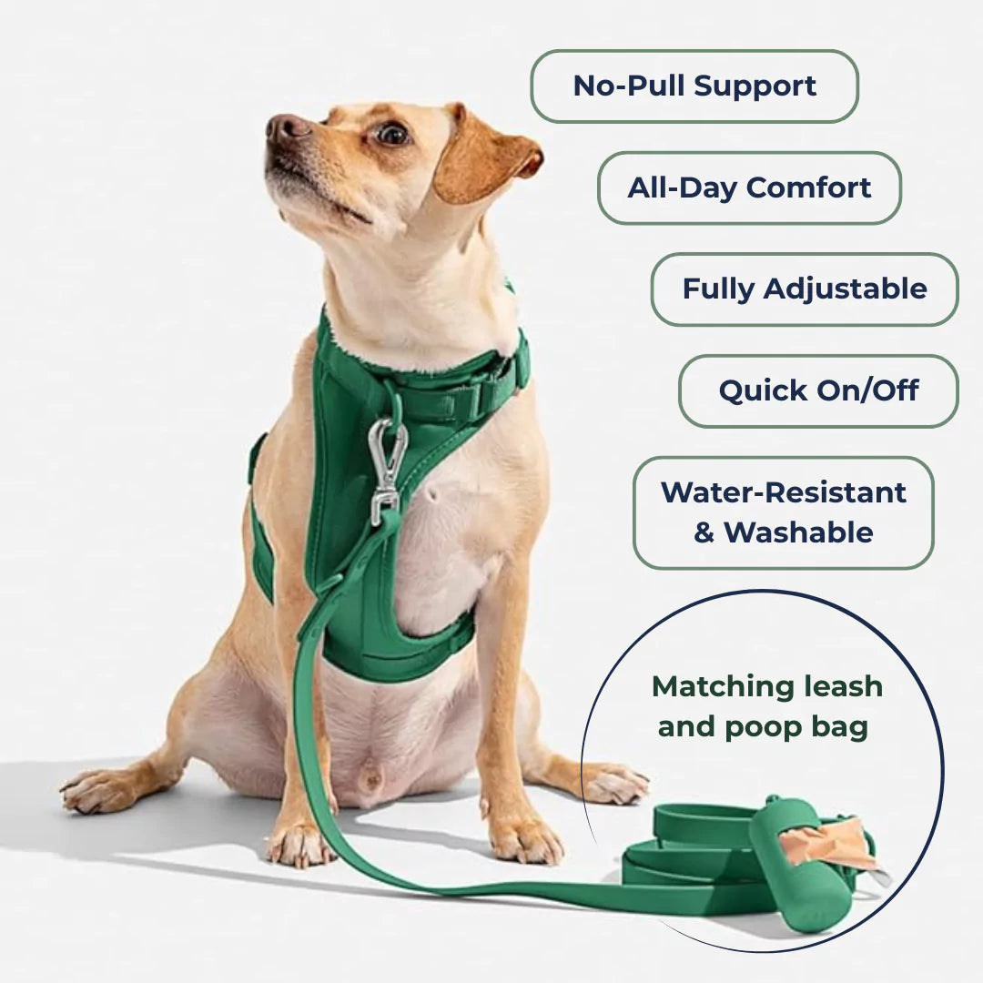KIT NuzzleFit™ - No-Pull Harness