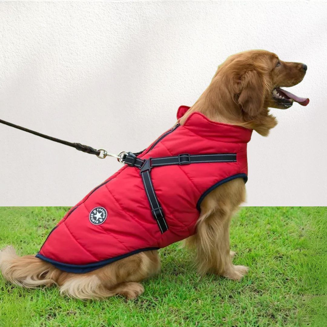 PawShield™ - 2-in-1 Waterproof Dog Jacket