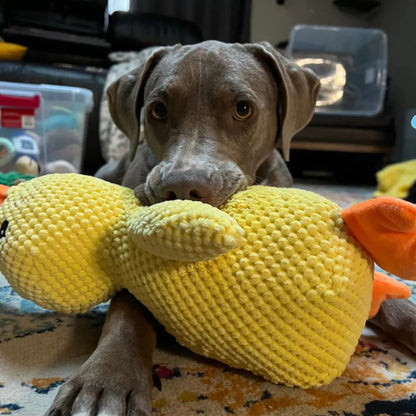 SnuggleQuack™ - Calming and Comfort Toy - XL