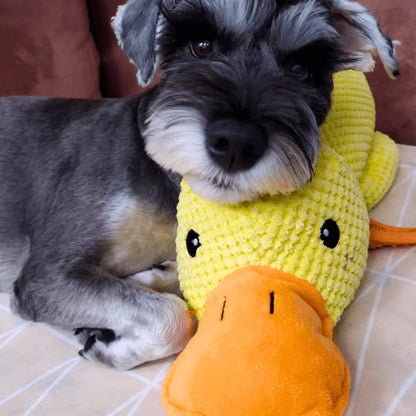 SnuggleQuack™ - Calming and Comfort Toy - XL