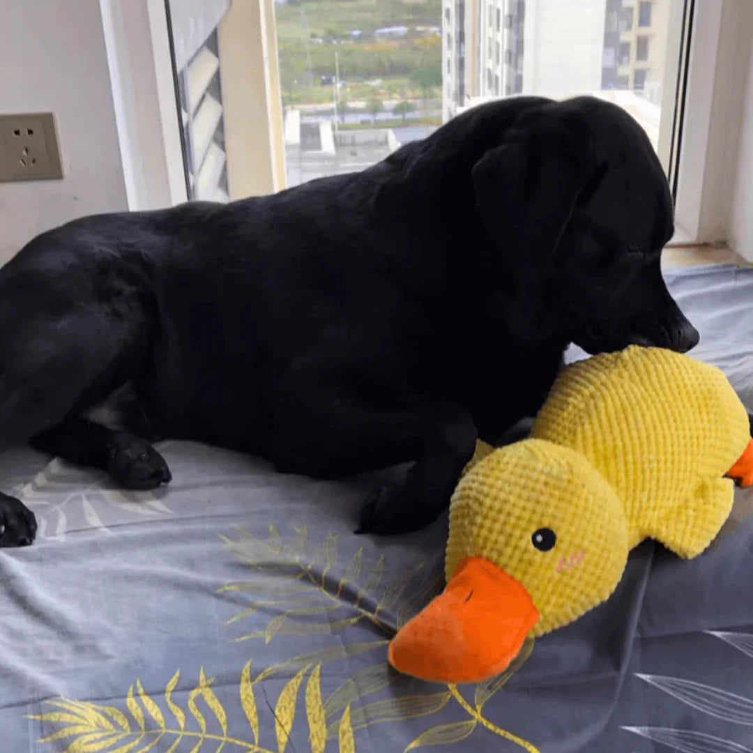 SnuggleQuack™ - Calming and Comfort Toy - XL