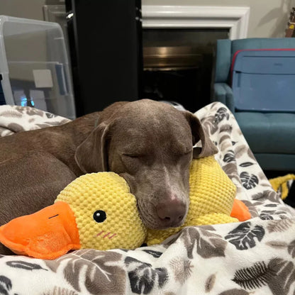 SnuggleQuack™ - Calming and Comfort Toy - XL